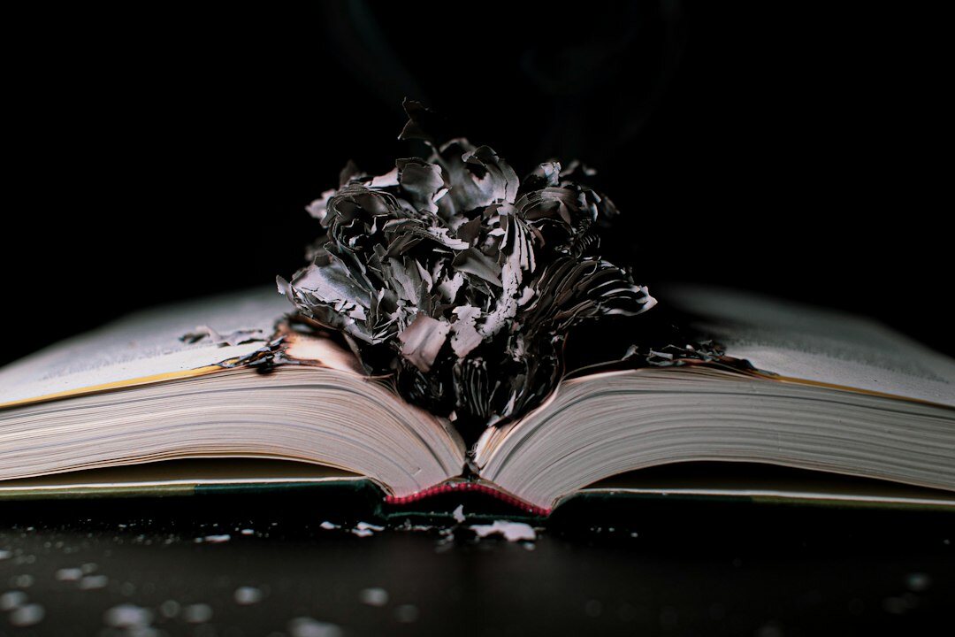 mystery book twist